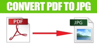 Role of PDF to JPG Converter Online nowadays