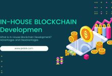 What is In-House Blockchain Development? Advantages and Disadvantages