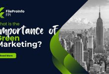 What is the Importance of Green Marketing?