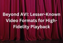 Beyond AVI: Lesser-Known Video Formats for High-Fidelity Playback