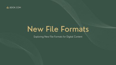 Exploring New File Formats for Digital Content