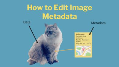 How to Edit Image Metadata