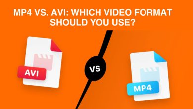 MP4 vs. AVI: Which Video Format Should You Use?