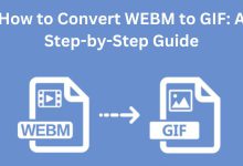 How to Convert MOV to WEBM: A Step-by-Step Guide