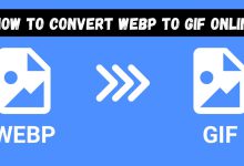 How to Convert WEBP to GIF Online