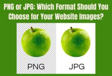 PNG or JPG: Which Format Should You Choose for Your Website Images?