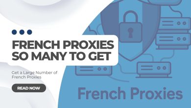 How to Find and Get a Large Number of French Proxies