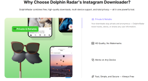 Download Instagram Content Online Tool